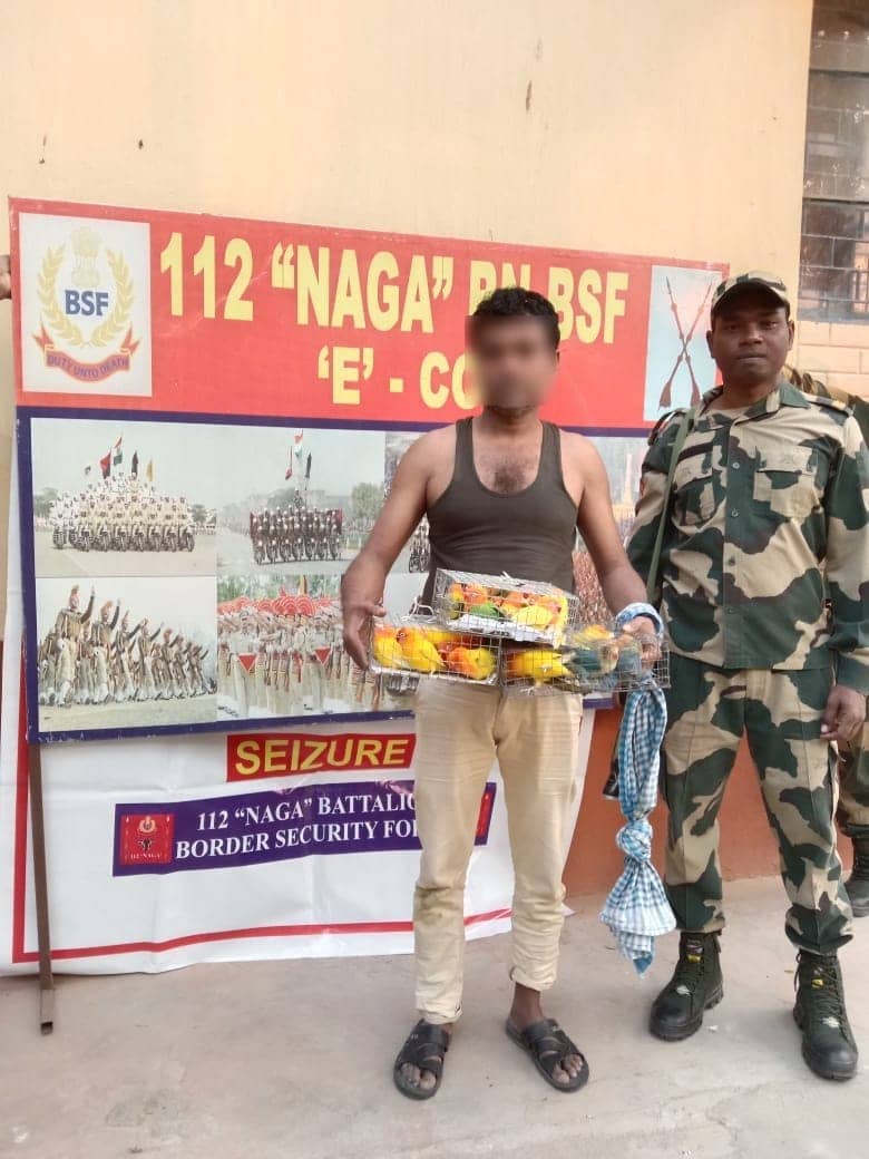 BSF Jawans Apprehend A Smuggler Red Handed With Rare Species Of Birds